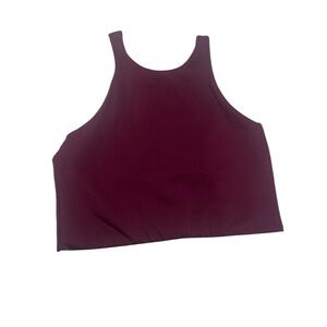 Montiel Burgundy Longline Bra Top
